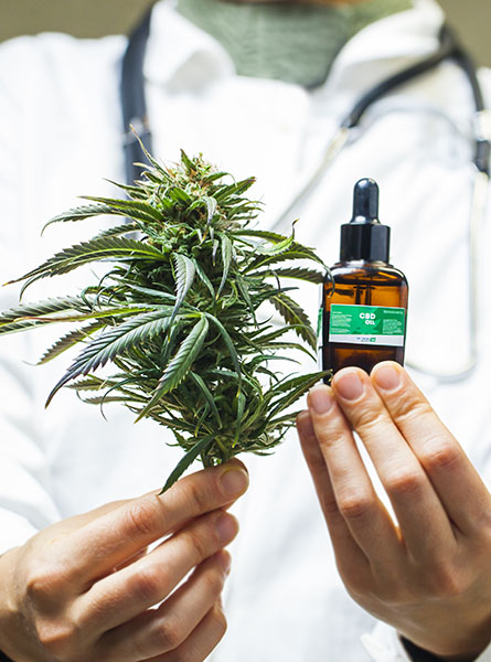A doctor hand hold and offer to patient medical marijuana and oil. CBD and Medical Marijuana Treatment recipe for personal use, legal light drugs prescribe, alternative remedy.